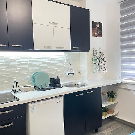 The Blue Velvet Apartment เบลเกรด ภายนอก รูปภาพ