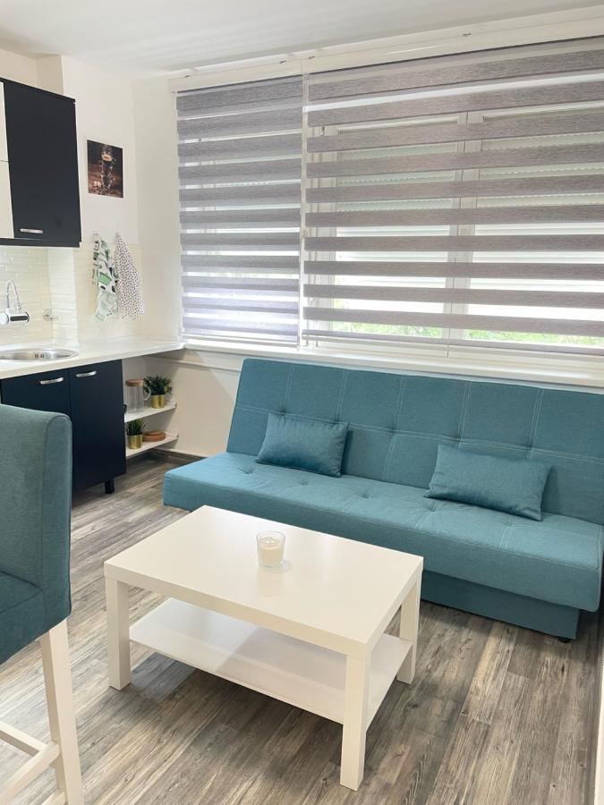 The Blue Velvet Apartment เบลเกรด ภายนอก รูปภาพ