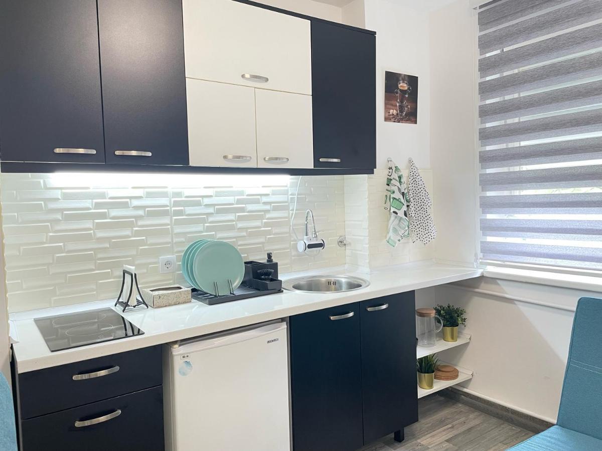 The Blue Velvet Apartment เบลเกรด ภายนอก รูปภาพ